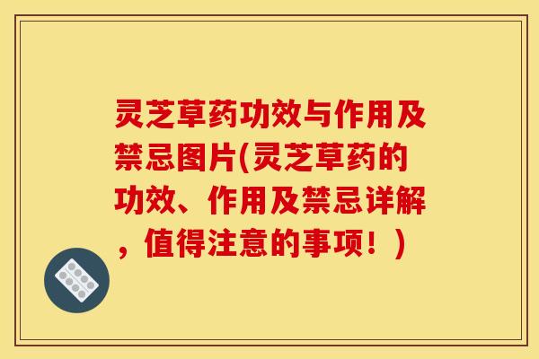 灵芝草药功效与作用及禁忌图片(灵芝草药的功效、作用及禁忌详解，值得注意的事项！)