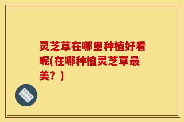 灵芝草在哪里种植好看呢(在哪种植灵芝草美？)