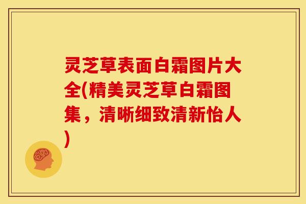 灵芝草表面白霜图片大全(精美灵芝草白霜图集，清晰细致清新怡人)
