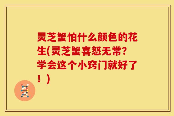 灵芝蟹怕什么颜色的花生(灵芝蟹喜怒无常？学会这个小窍门就好了！)