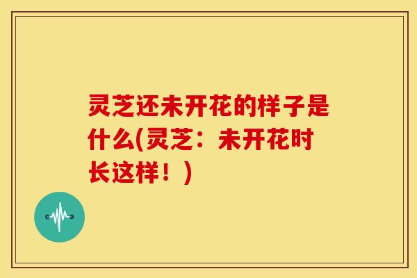 灵芝还未开花的样子是什么(灵芝：未开花时长这样！)