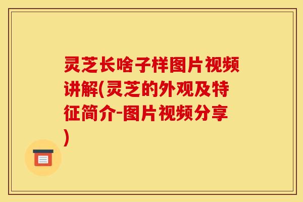 灵芝长啥子样图片视频讲解(灵芝的外观及特征简介-图片视频分享)