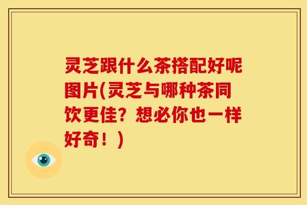 灵芝跟什么茶搭配好呢图片(灵芝与哪种茶同饮更佳？想必你也一样好奇！)