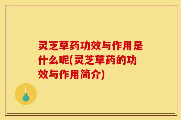 灵芝草药功效与作用是什么呢(灵芝草药的功效与作用简介)