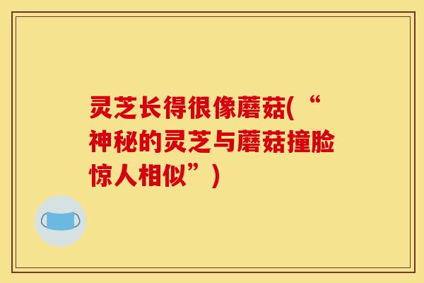 灵芝长得很像蘑菇(“神秘的灵芝与蘑菇撞脸惊人相似”)