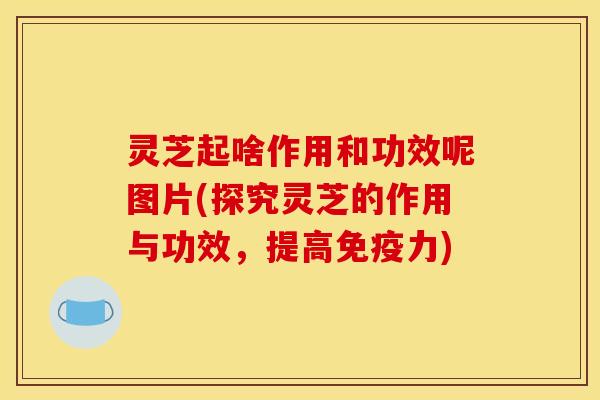 灵芝起啥作用和功效呢图片(探究灵芝的作用与功效，提高免疫力)