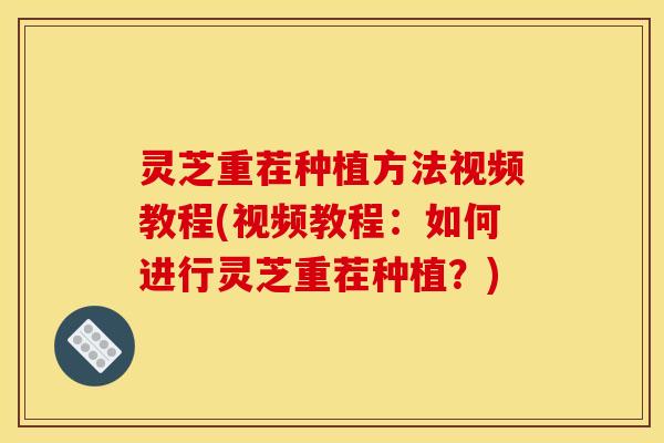 灵芝重茬种植方法视频教程(视频教程：如何进行灵芝重茬种植？)