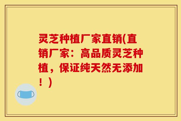 灵芝种植厂家直销(直销厂家:高品质灵芝种植,保证纯天然无添加!) 灵芝种植厂家直销(直销厂家:高品质灵芝种植,保证纯天然无添加!)