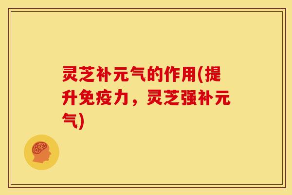 灵芝补元气的作用(提升免疫力，灵芝强补元气)