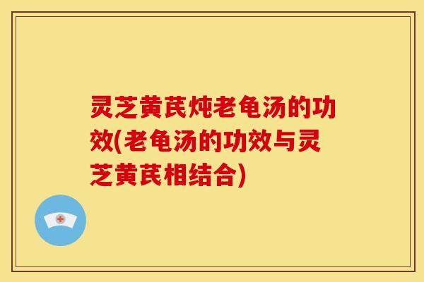 灵芝黄芪炖老龟汤的功效(老龟汤的功效与灵芝黄芪相结合)