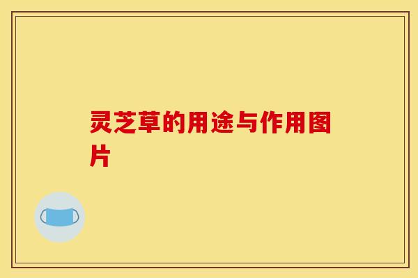 灵芝草的用途与作用图片 灵芝草的用途与作用图片