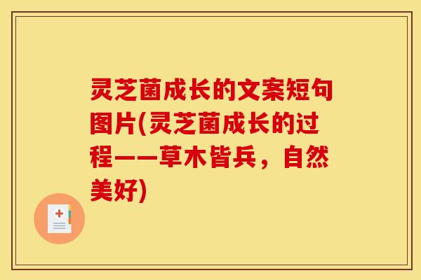 灵芝菌成长的文案短句图片(灵芝菌成长的过程——草木皆兵,自然美好) 灵芝菌成长的文案短句图片(灵芝菌成长的过程——草木皆兵,自然美好)