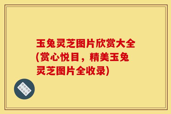 玉兔灵芝图片欣赏大全(赏心悦目,精美玉兔灵芝图片全收录) 玉兔灵芝图片欣赏大全(赏心悦目,精美玉兔灵芝图片全收录)