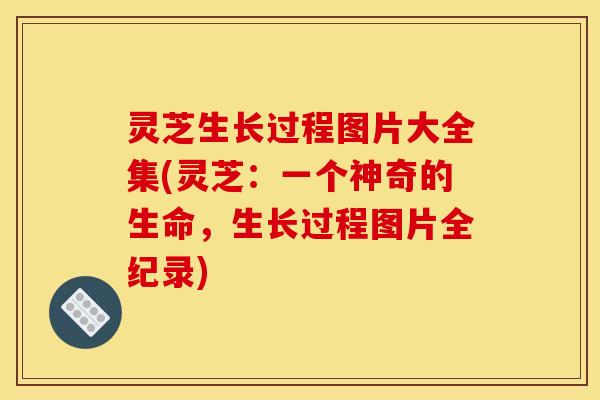 灵芝生长过程图片大全集(灵芝：一个神奇的生命，生长过程图片全纪录)