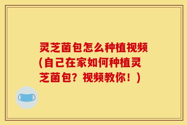灵芝菌包怎么种植视频(自己在家如何种植灵芝菌包？视频教你！)