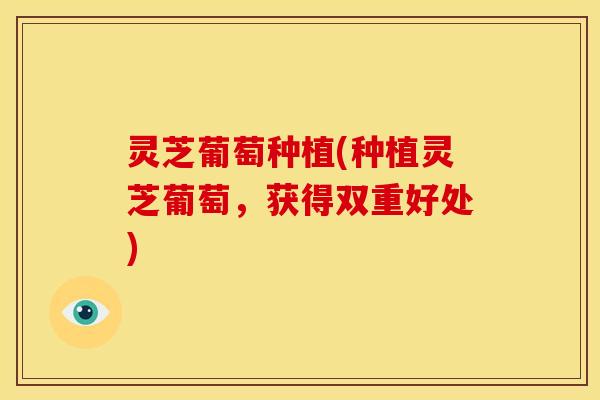 灵芝葡萄种植(种植灵芝葡萄,获得双重好处) 灵芝葡萄种植(种植灵芝葡萄,获得双重好处)