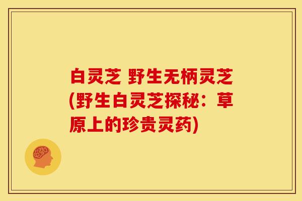 白灵芝 野生无柄灵芝(野生白灵芝探秘：草原上的珍贵灵药)