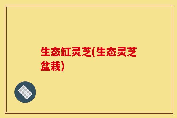 生态缸灵芝(生态灵芝盆栽)