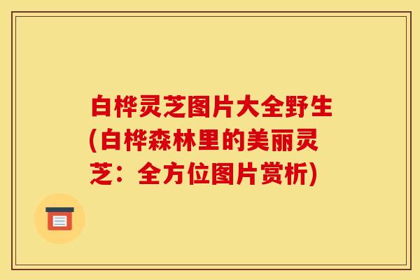 白桦灵芝图片大全野生(白桦森林里的美丽灵芝：全方位图片赏析)