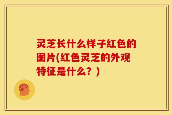 灵芝长什么样子红色的图片(红色灵芝的外观特征是什么？)