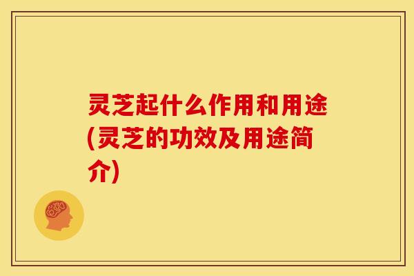 灵芝起什么作用和用途(灵芝的功效及用途简介)