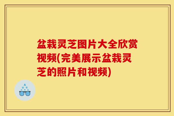 盆栽灵芝图片大全欣赏视频(完美展示盆栽灵芝的照片和视频)