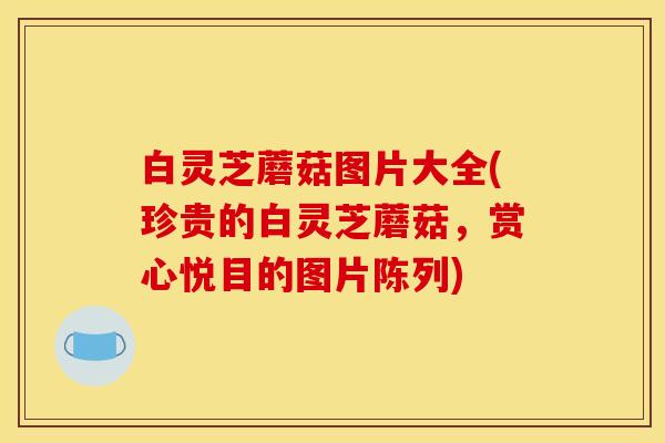 白灵芝蘑菇图片大全(珍贵的白灵芝蘑菇,赏心悦目的图片陈列) 白灵芝蘑菇图片大全(珍贵的白灵芝蘑菇,赏心悦目的图片陈列)