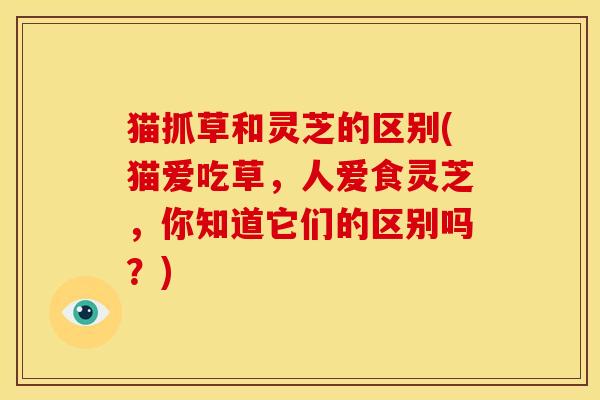 猫抓草和灵芝的区别(猫爱吃草,人爱食灵芝,你知道它们的区别吗?) 猫抓草和灵芝的区别(猫爱吃草,人爱食灵芝,你知道它们的区别吗?)