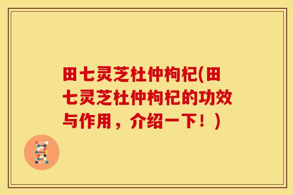 田七灵芝杜仲枸杞(田七灵芝杜仲枸杞的功效与作用，介绍一下！)