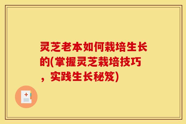 灵芝老本如何栽培生长的(掌握灵芝栽培技巧,实践生长秘笈) 灵芝老本如何栽培生长的(掌握灵芝栽培技巧,实践生长秘笈)