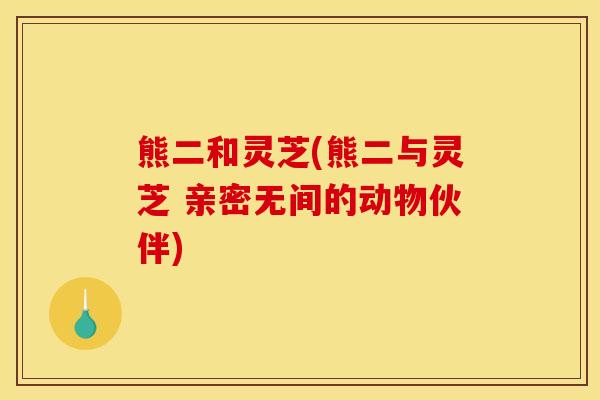 熊二和灵芝(熊二与灵芝 亲密无间的动物伙伴) 熊二和灵芝(熊二与灵芝 亲密无间的动物伙伴)