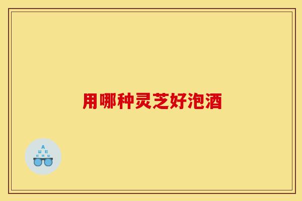 用哪种灵芝好泡酒 用哪种灵芝好泡酒