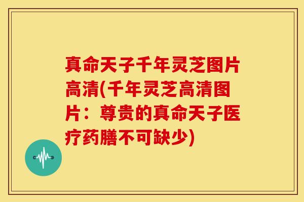 真命天子千年灵芝图片高清(千年灵芝高清图片:尊贵的真命天子医疗药膳不可缺少) 真命天子千年灵芝图片高清(千年灵芝高清图片:尊贵的真命天子医疗药膳不可缺少)