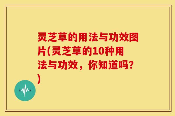 灵芝草的用法与功效图片(灵芝草的10种用法与功效，你知道吗？)