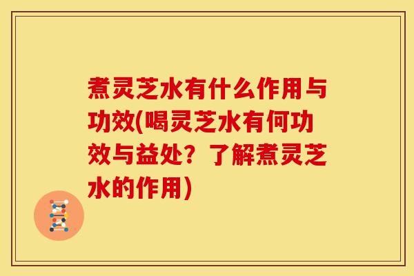 煮灵芝水有什么作用与功效(喝灵芝水有何功效与益处？了解煮灵芝水的作用)