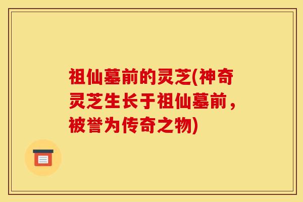 祖仙墓前的灵芝(神奇灵芝生长于祖仙墓前,被誉为传奇之物) 祖仙墓前的灵芝(神奇灵芝生长于祖仙墓前,被誉为传奇之物)