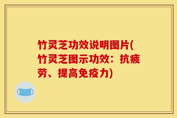 竹灵芝功效说明图片(竹灵芝图示功效:、提高免疫力) 竹灵芝功效说明图片(竹灵芝图示功效:、提高免疫力)