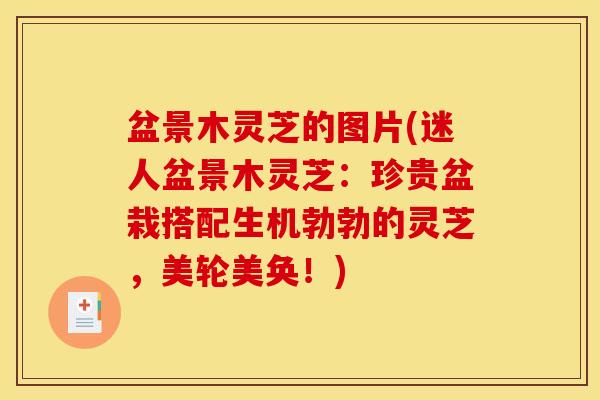 盆景木灵芝的图片(迷人盆景木灵芝:珍贵盆栽搭配生机勃勃的灵芝,美轮美奂!) 盆景木灵芝的图片(迷人盆景木灵芝:珍贵盆栽搭配生机勃勃的灵芝,美轮美奂!)