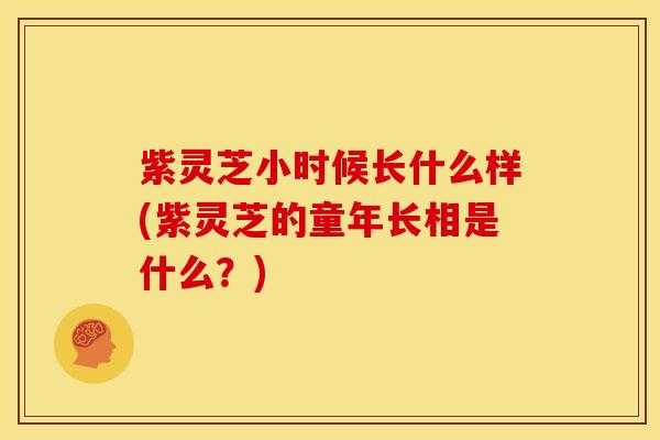 紫灵芝小时候长什么样(紫灵芝的童年长相是什么？)