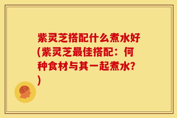 紫灵芝搭配什么煮水好(紫灵芝佳搭配:何种食材与其一起煮水?) 紫灵芝搭配什么煮水好(紫灵芝佳搭配:何种食材与其一起煮水?)