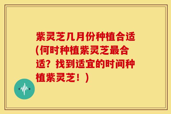紫灵芝几月份种植合适(何时种植紫灵芝合适?找到适宜的时间种植紫灵芝!) 紫灵芝几月份种植合适(何时种植紫灵芝合适?找到适宜的时间种植紫灵芝!)