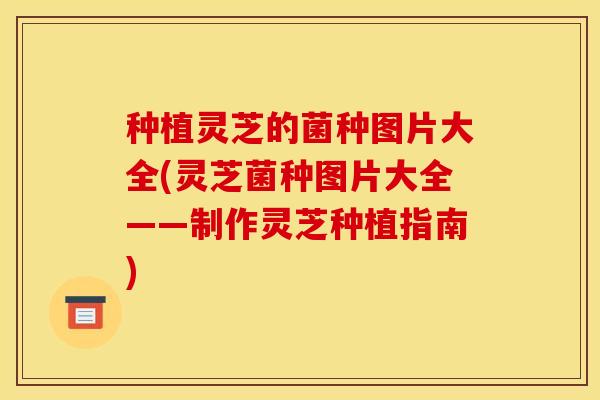 种植灵芝的菌种图片大全(灵芝菌种图片大全——制作灵芝种植指南) 种植灵芝的菌种图片大全(灵芝菌种图片大全——制作灵芝种植指南)