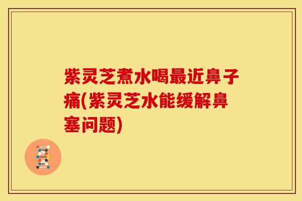 紫灵芝煮水喝近鼻子痛(紫灵芝水能缓解鼻塞问题) 紫灵芝煮水喝近鼻子痛(紫灵芝水能缓解鼻塞问题)