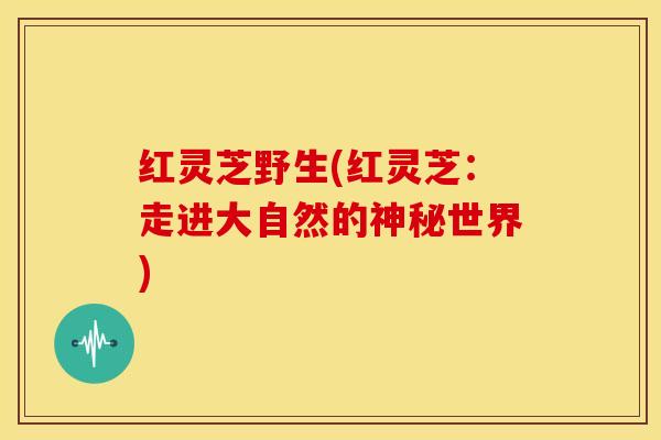 红灵芝野生(红灵芝:走进大自然的神秘世界) 红灵芝野生(红灵芝:走进大自然的神秘世界)