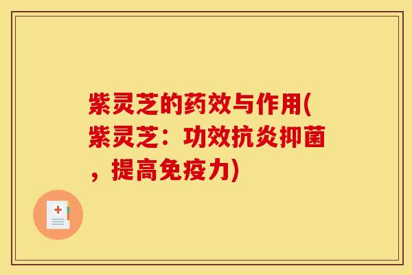紫灵芝的与作用(紫灵芝:功效抑菌,提高免疫力) 紫灵芝的与作用(紫灵芝:功效抑菌,提高免疫力)