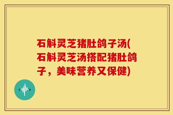 石斛灵芝猪肚鸽子汤(石斛灵芝汤搭配猪肚鸽子,美味营养又保健) 石斛灵芝猪肚鸽子汤(石斛灵芝汤搭配猪肚鸽子,美味营养又保健)