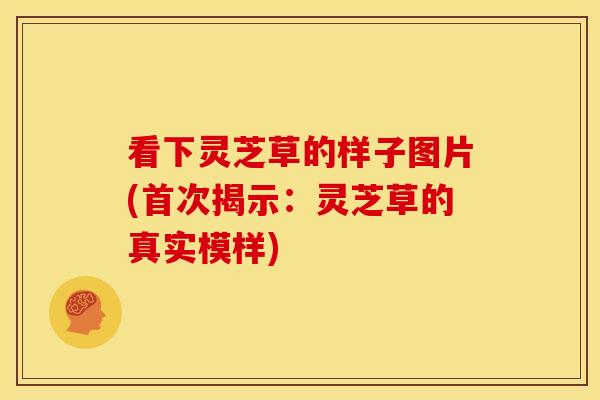 看下灵芝草的样子图片(首次揭示:灵芝草的真实模样) 看下灵芝草的样子图片(首次揭示:灵芝草的真实模样)