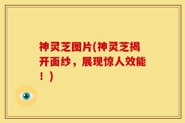 神灵芝图片(神灵芝揭开面纱，展现惊人效能！)