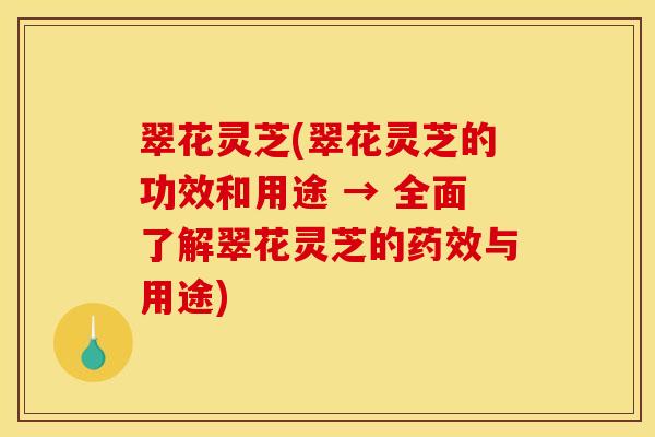 翠花灵芝(翠花灵芝的功效和用途 → 全面了解翠花灵芝的与用途) 翠花灵芝(翠花灵芝的功效和用途 → 全面了解翠花灵芝的与用途)