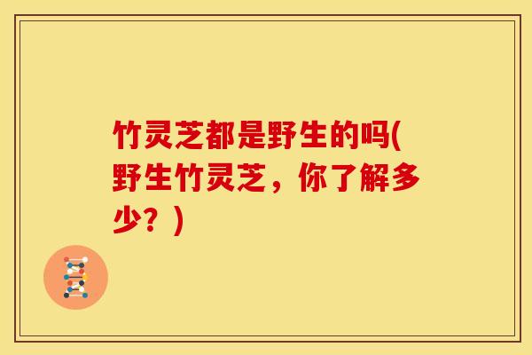 竹灵芝都是野生的吗(野生竹灵芝,你了解多少?) 竹灵芝都是野生的吗(野生竹灵芝,你了解多少?)